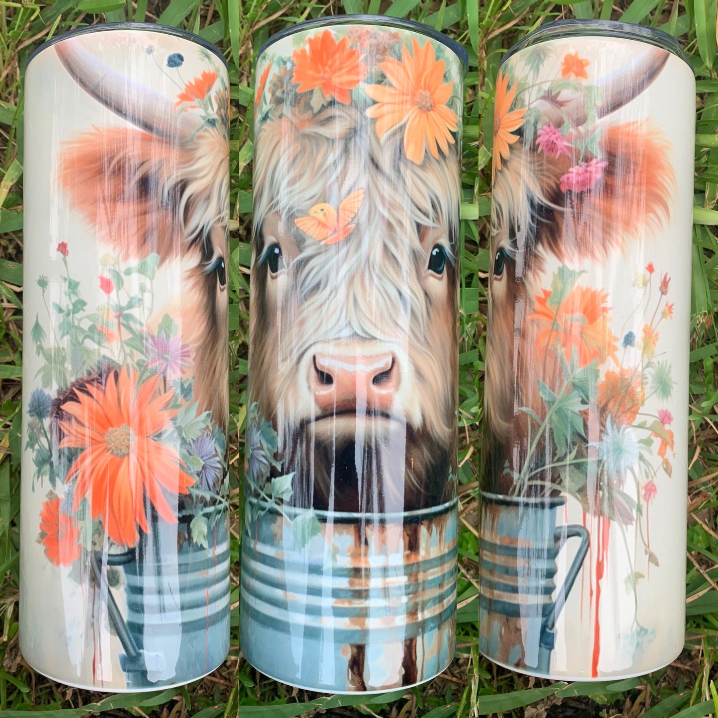 Orange Daisy Tin Highland