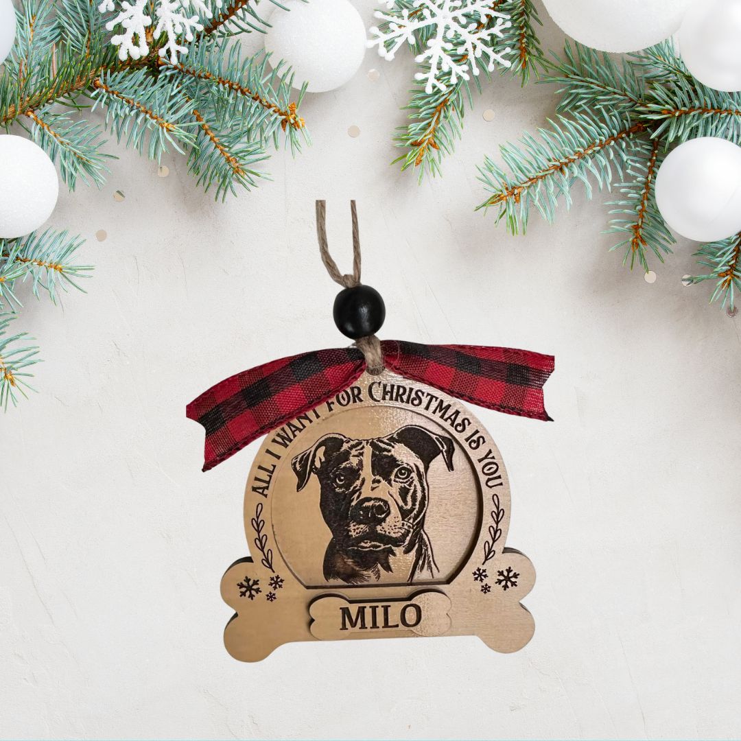 Pet Ornament
