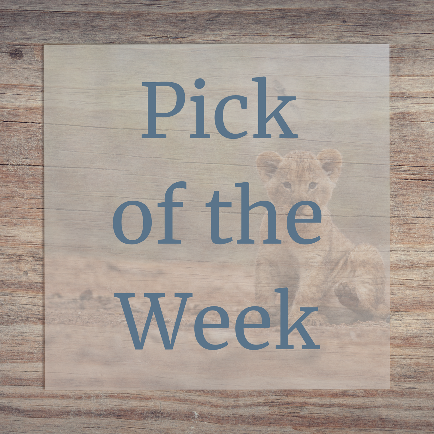 DTF Print of the Week