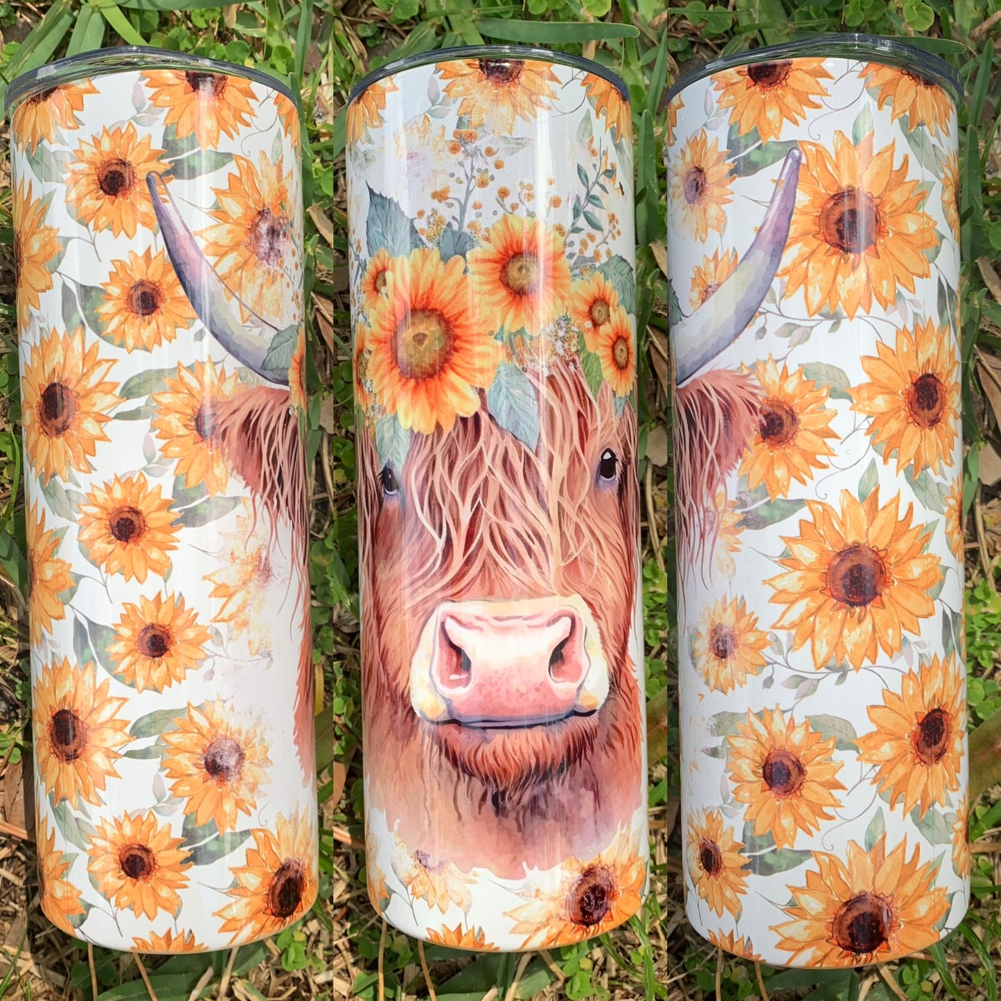 Sunflower Highland Cow