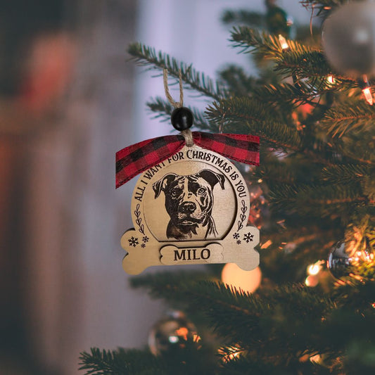 Pet Ornament